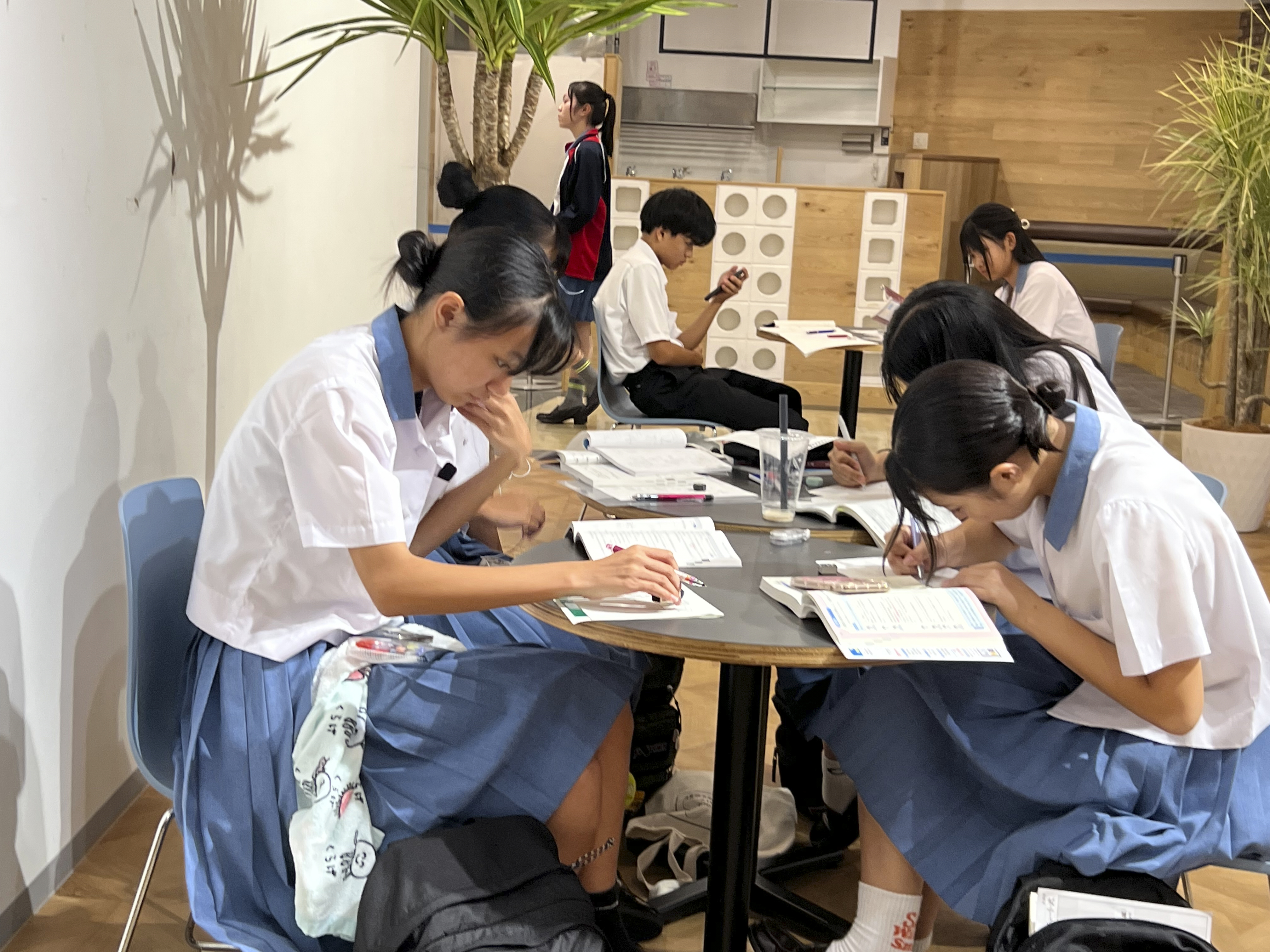 Homework in the café, Japan