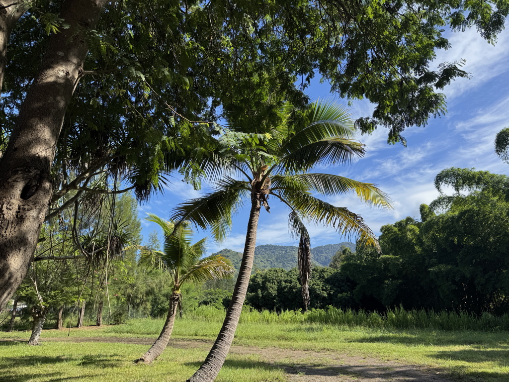 A picture-perfect landscape
